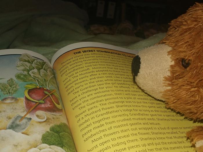 [Thumbnail for turning-the-soil.jpg]