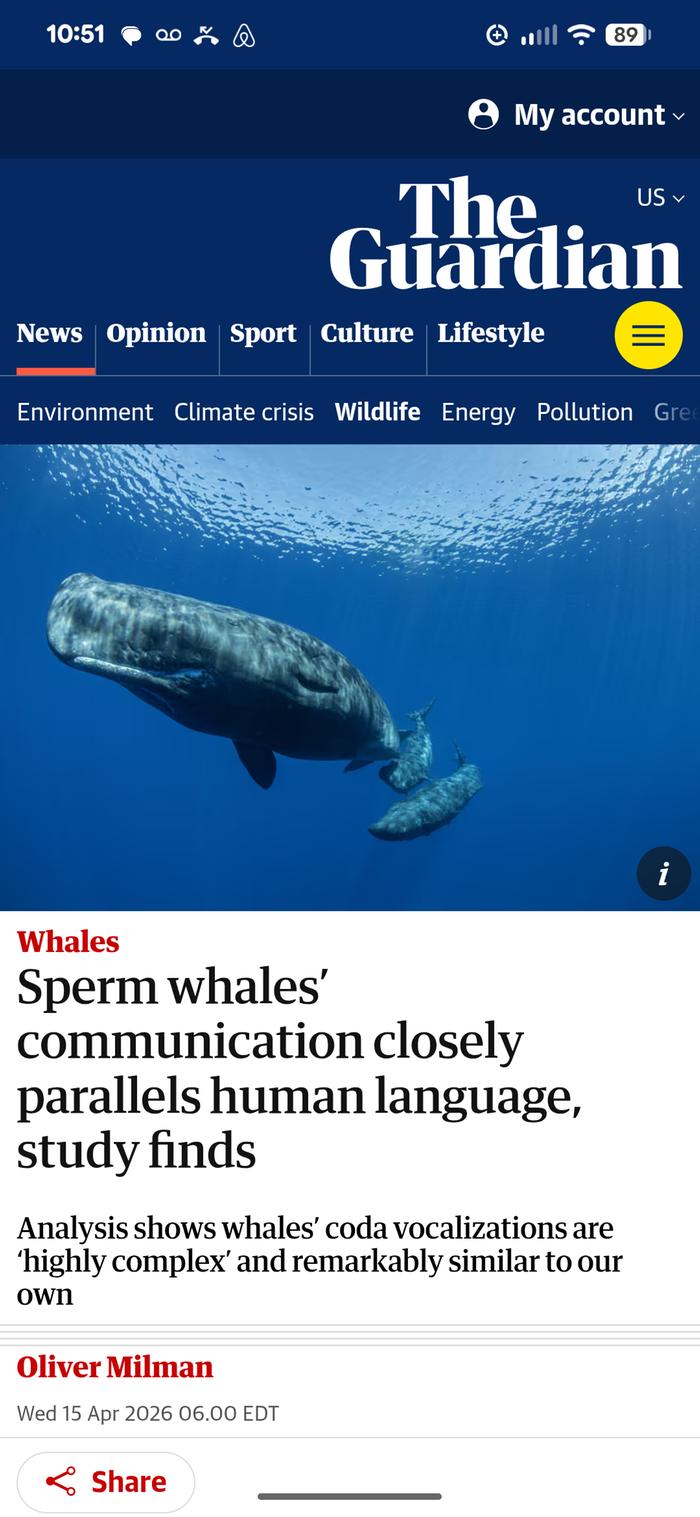 [Thumbnail for Screenshot_20260415-105136.png]