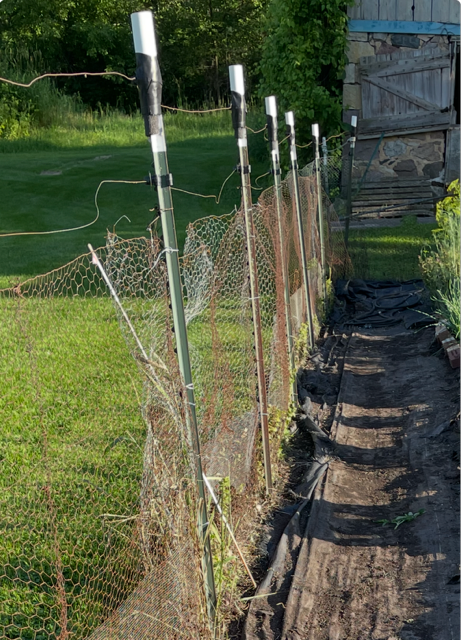 [Thumbnail for garden-photo.png]