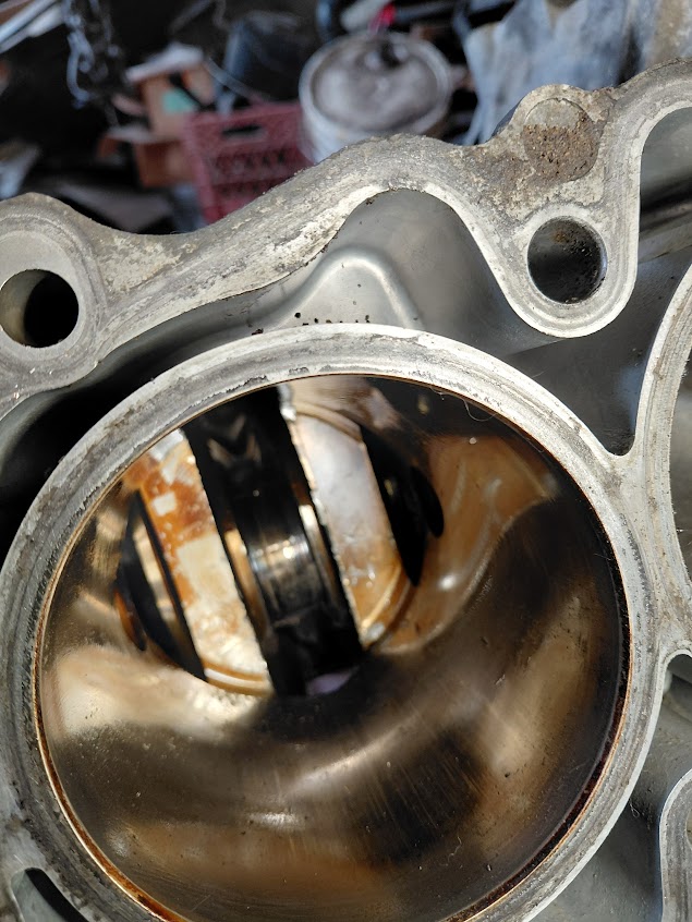 [Thumbnail for 20260415_143126.jpg]