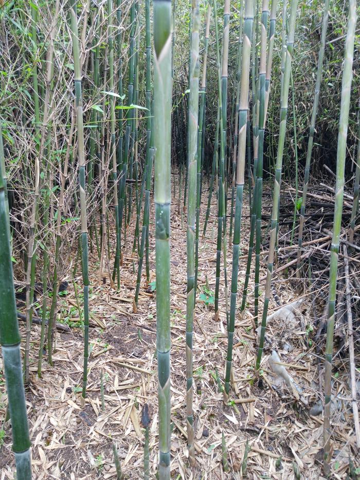 [Thumbnail for IMG_20260416_124332_300.jpg]