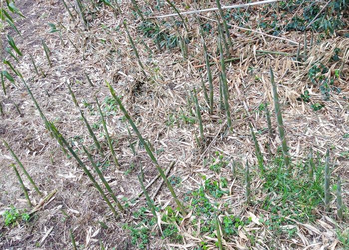 [Thumbnail for IMG_20260416_124456_844-2.jpg]