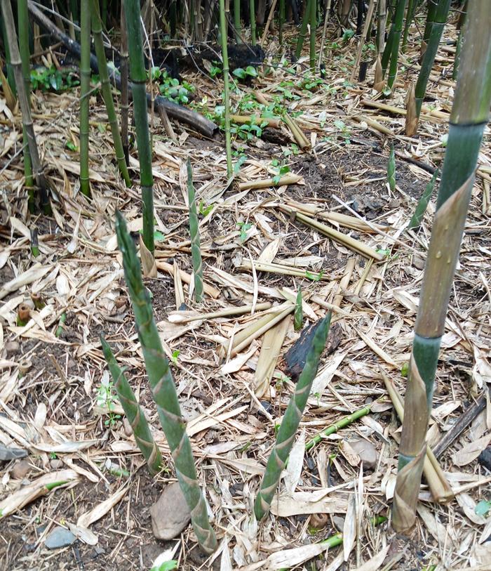 [Thumbnail for IMG_20260416_124344_592-2.jpg]