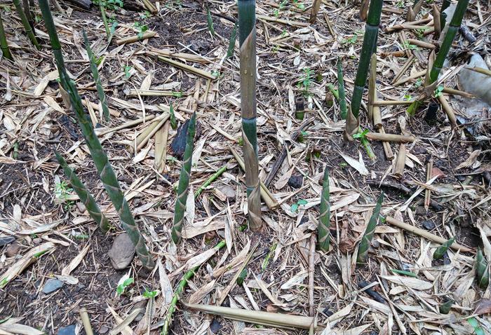 [Thumbnail for IMG_20260416_124350_974-2.jpg]