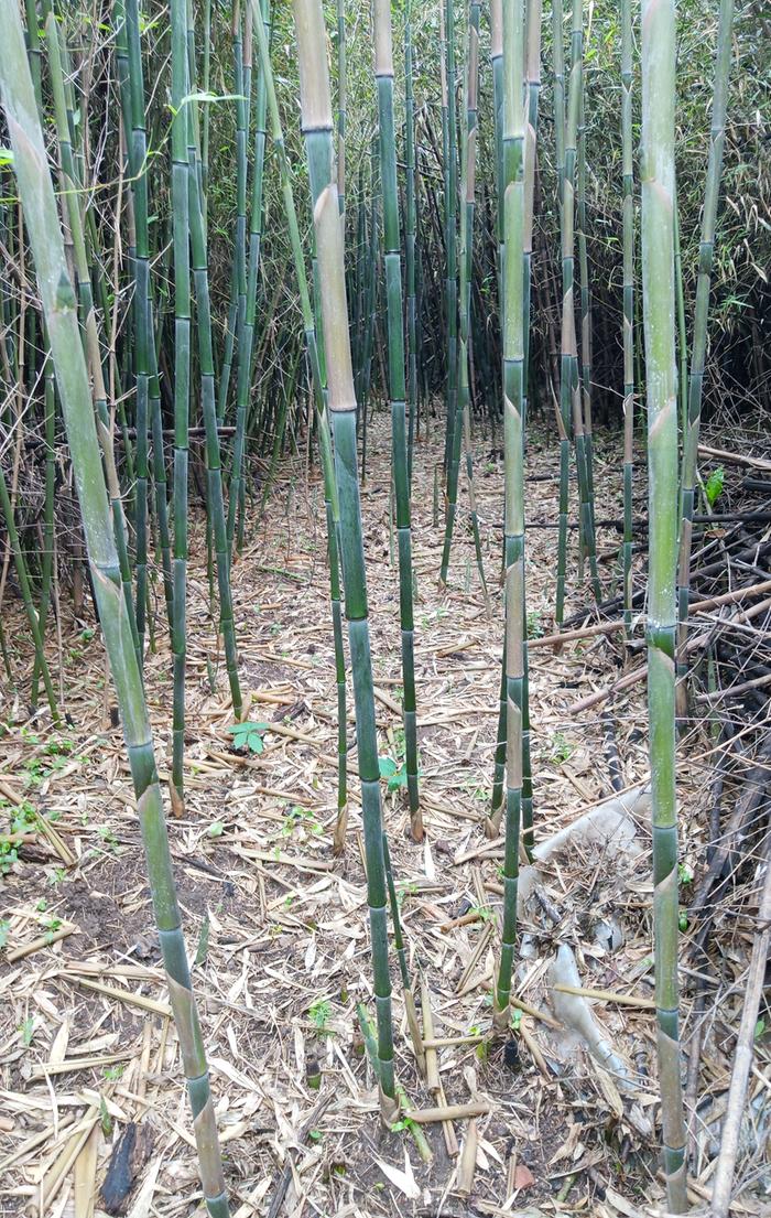 [Thumbnail for IMG_20260416_124338_967-2.jpg]