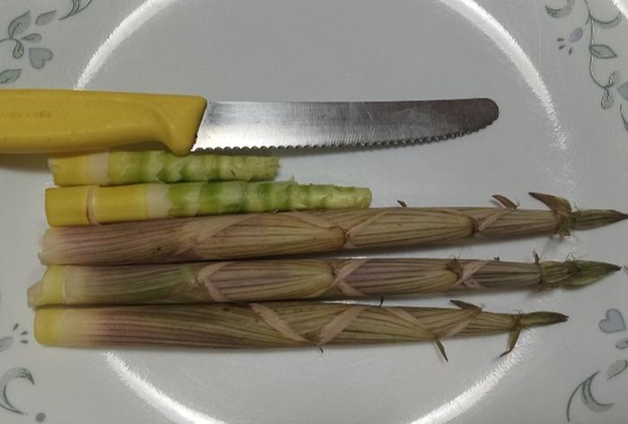 Earing bamboo shoots