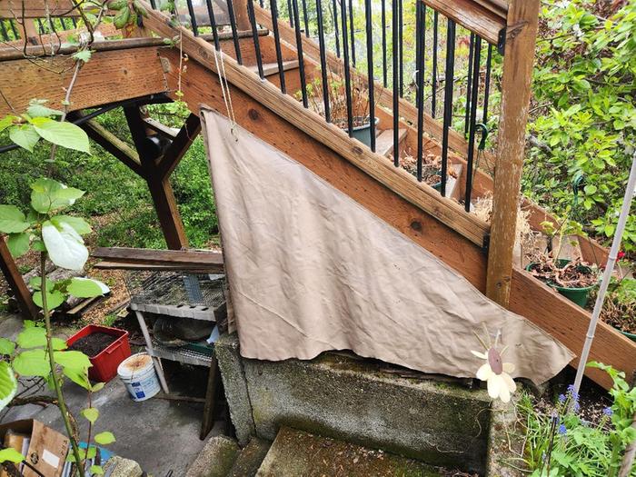 [Thumbnail for Sun-screen-for-mush-logs.jpg]