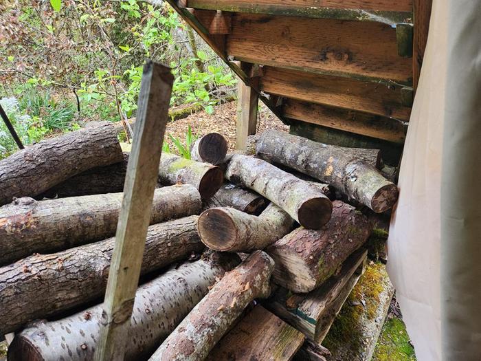 [Thumbnail for Inside-the-sun-screen.jpg]