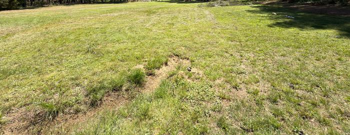 [Thumbnail for IMG_9419.jpeg]