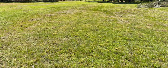 [Thumbnail for IMG_9434.jpeg]