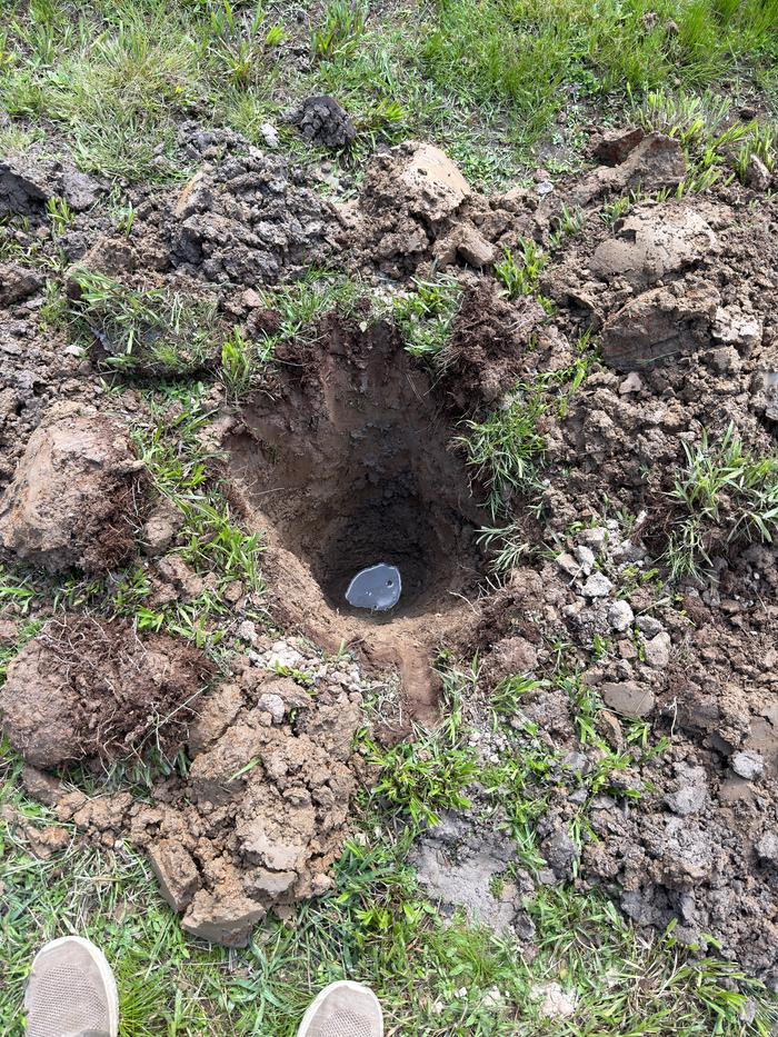 [Thumbnail for IMG_9443.jpeg]