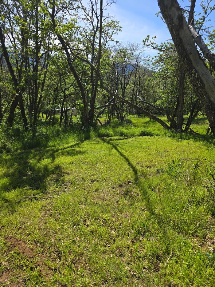 [Thumbnail for 20260418_154947.jpg]