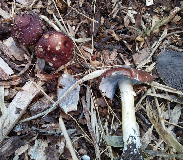 [Thumbnail for IMG_20260419_140309_141-2.jpg]