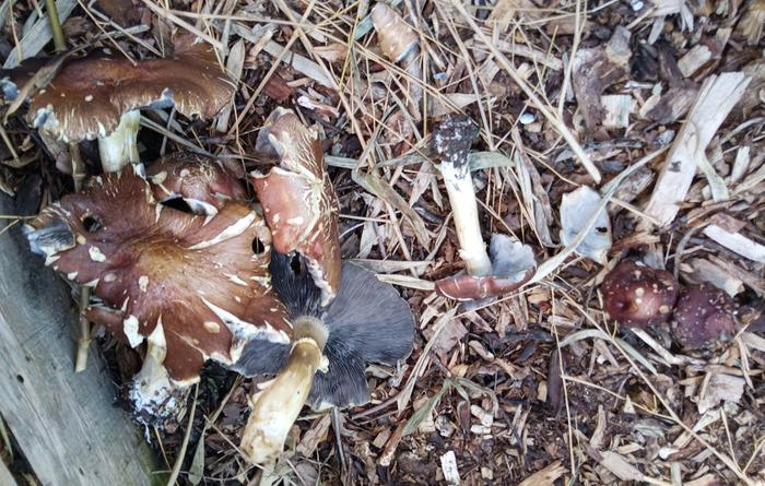 [Thumbnail for IMG_20260419_140232_116-2.jpg]