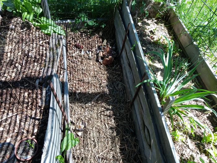 [Thumbnail for IMG_20260419_135512_202.jpg]