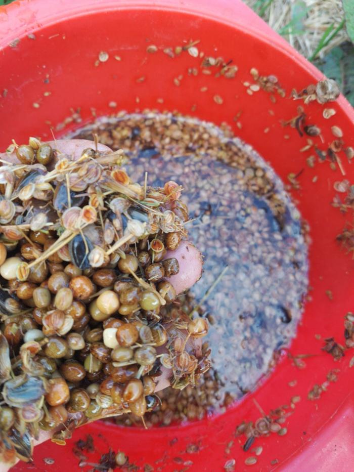 [Thumbnail for mjammie-mix.jpg]