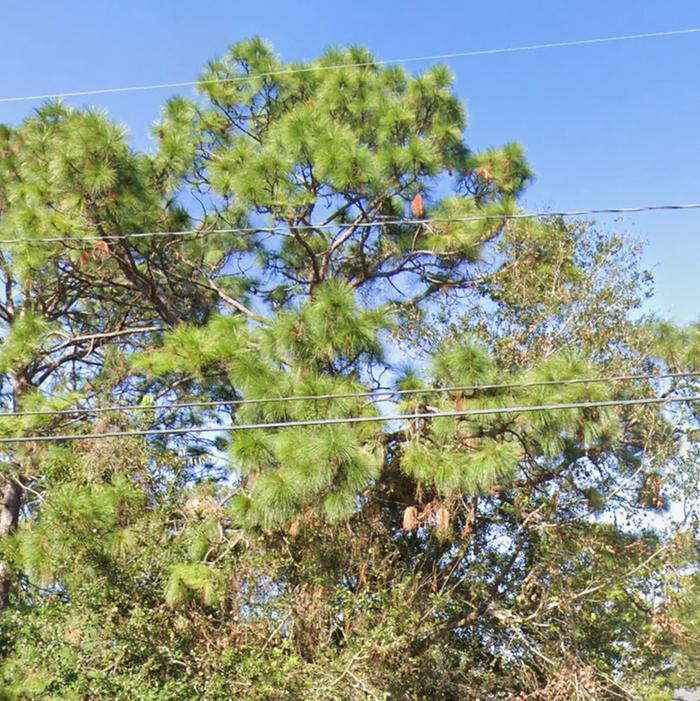 [Thumbnail for IMG_0917.jpeg]