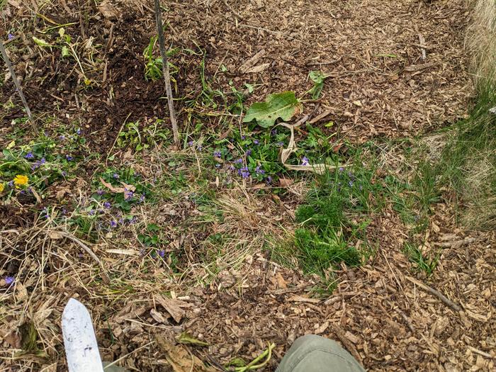 [Thumbnail for PXL_20260418_135846540.jpg]