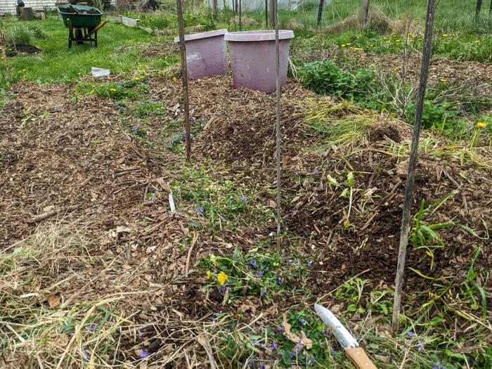 [Thumbnail for PXL_20260418_135855399.jpg]