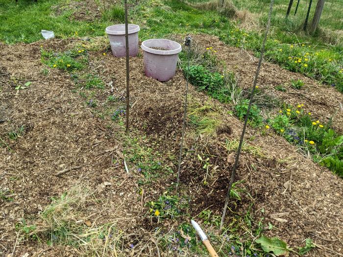 [Thumbnail for PXL_20260418_135904001.jpg]