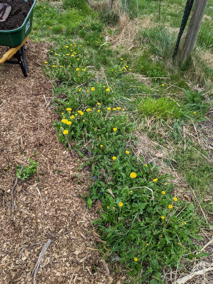 [Thumbnail for PXL_20260418_140802824.jpg]