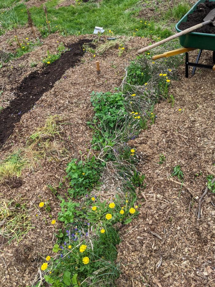 [Thumbnail for PXL_20260418_140808654.jpg]