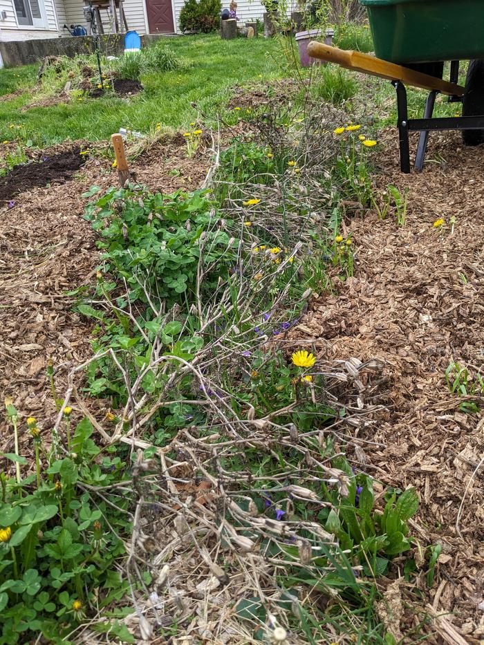 [Thumbnail for PXL_20260418_140814487.jpg]