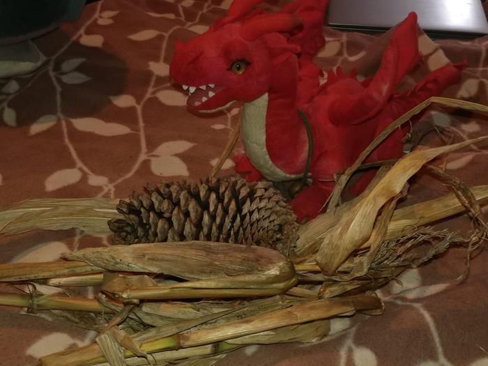 [Thumbnail for pine-cones-and-corn-stalks.jpg]