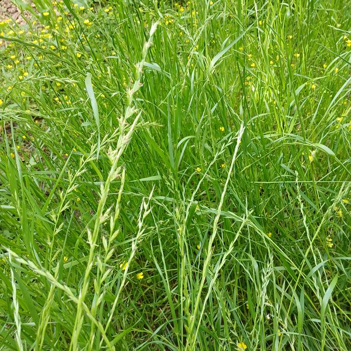 [Thumbnail for 20260423_105136.jpg]