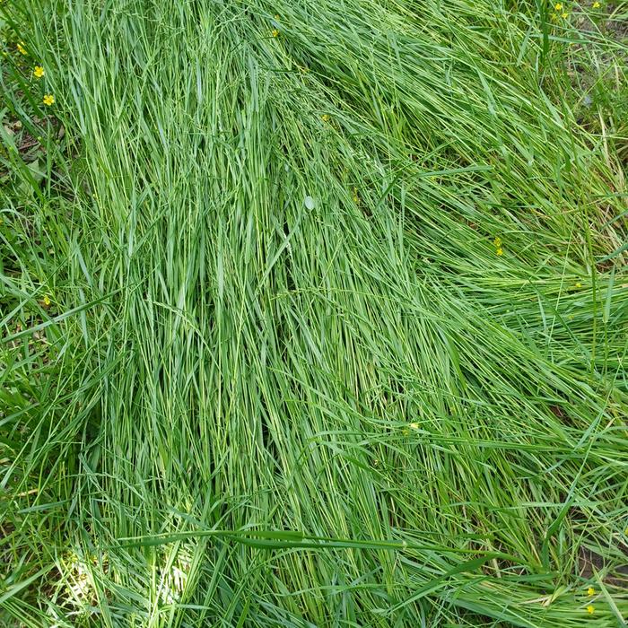 [Thumbnail for 20260423_105313.jpg]