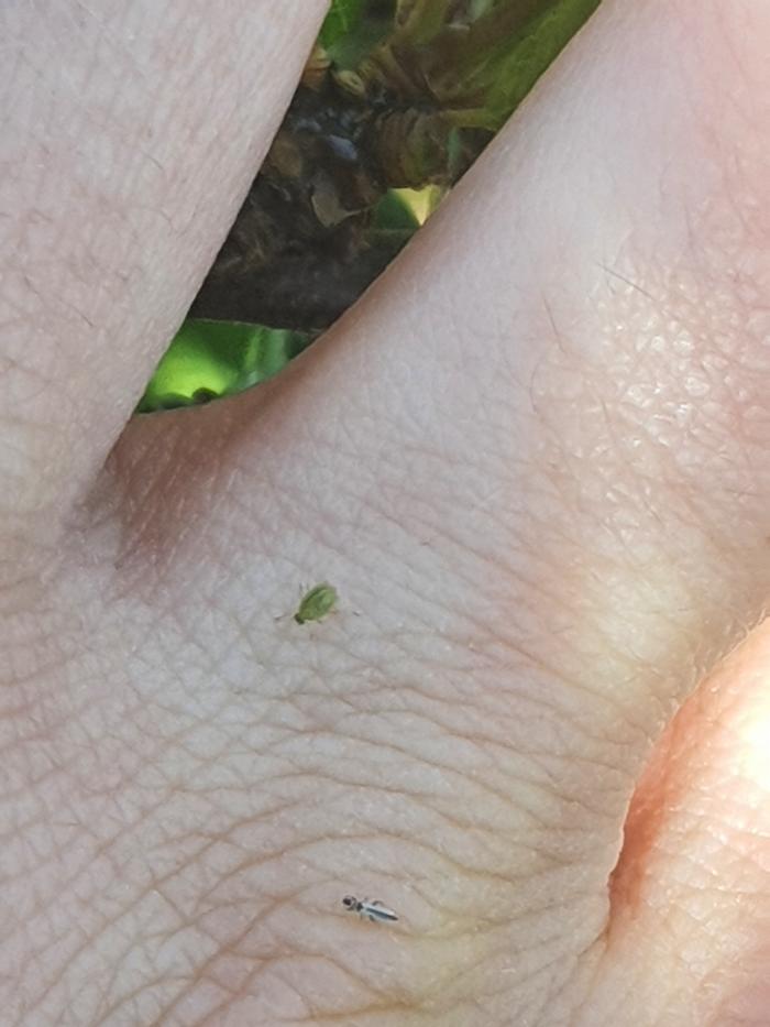 [Thumbnail for 20260423_141136.jpg]