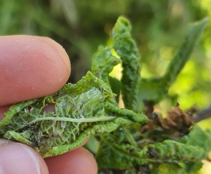 [Thumbnail for 20260423_140924.jpg]