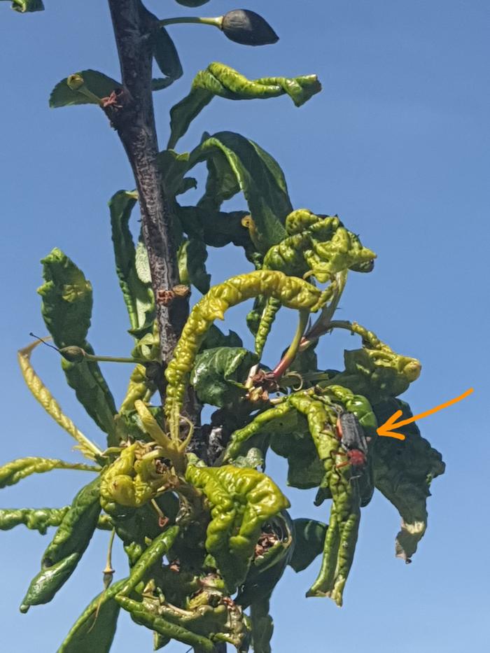 [Thumbnail for 20260417_161939.jpg]