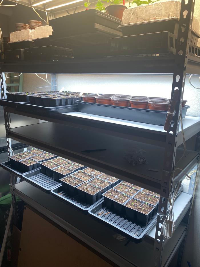 [Thumbnail for IMG_6725.jpeg]