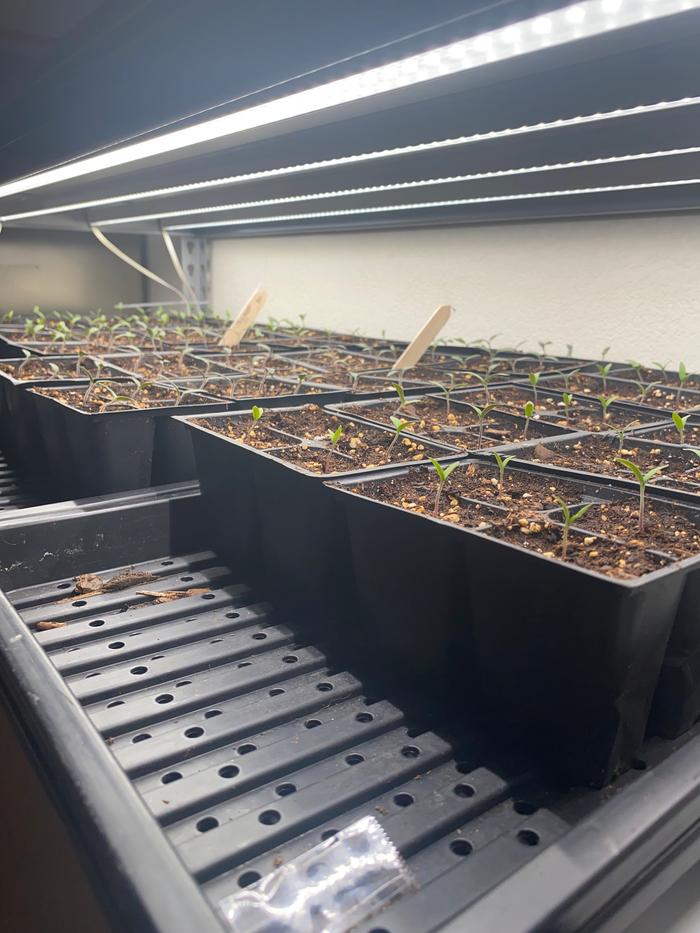 [Thumbnail for IMG_6726.jpeg]