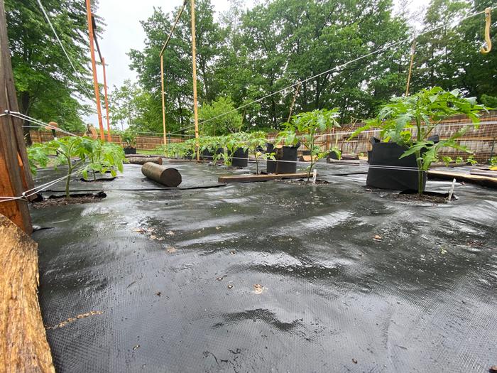 [Thumbnail for IMG_4657.jpeg]