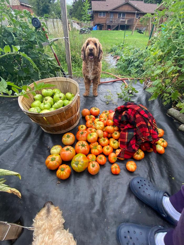 [Thumbnail for IMG_8569.jpeg]