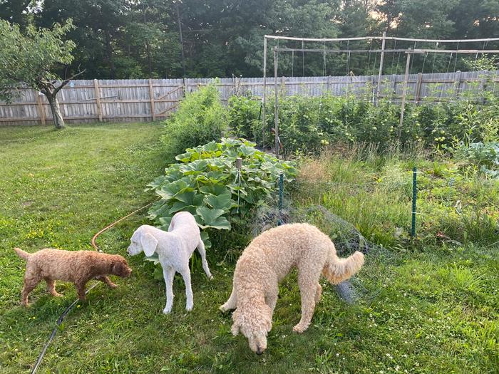 [Thumbnail for IMG_7200.jpeg]