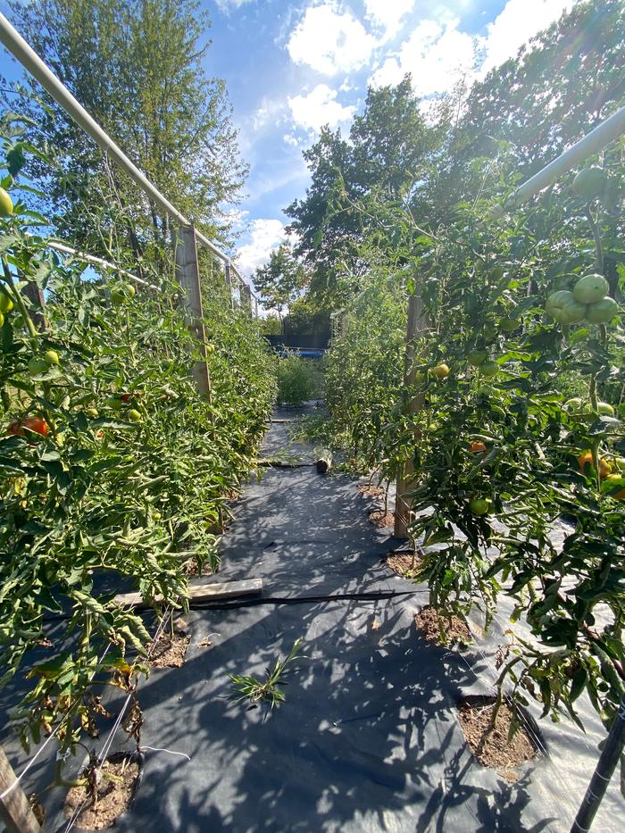 [Thumbnail for IMG_2232.jpeg]