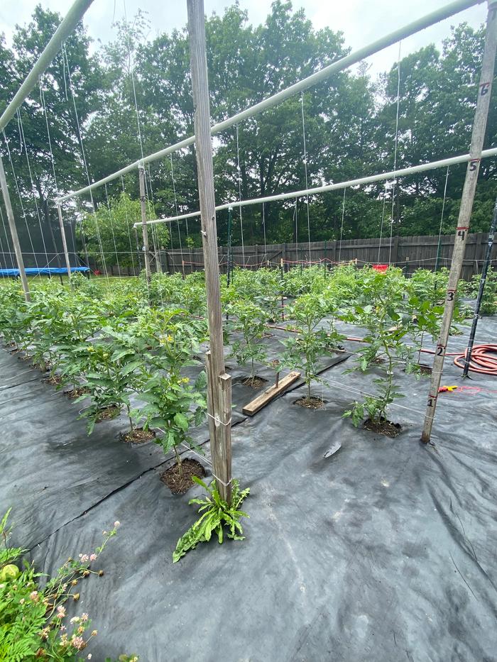 [Thumbnail for IMG_0463.jpeg]