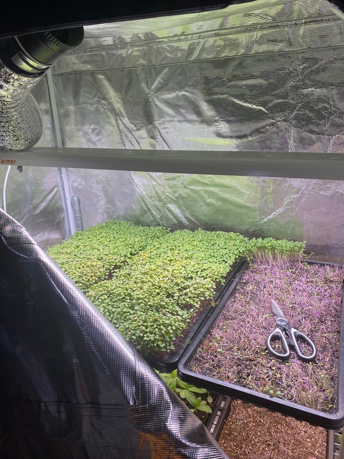 [Thumbnail for IMG_6727.jpeg]