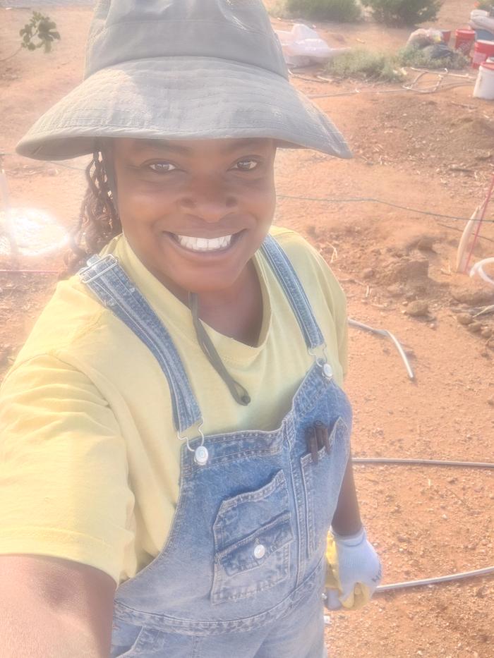 Sunny day in the orchard 