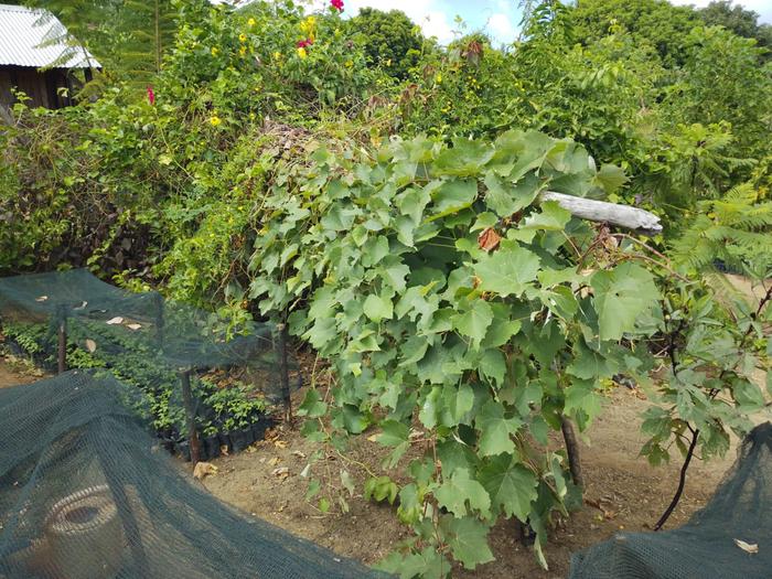 [Thumbnail for WhatsApp-Image-2026-04-25-at-09.51.31-(1).jpeg]