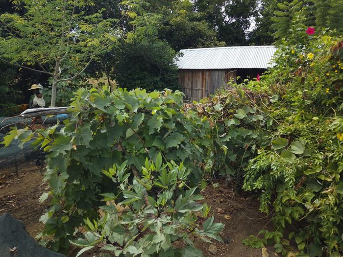 [Thumbnail for WhatsApp-Image-2026-04-25-at-09.51.31.jpeg]