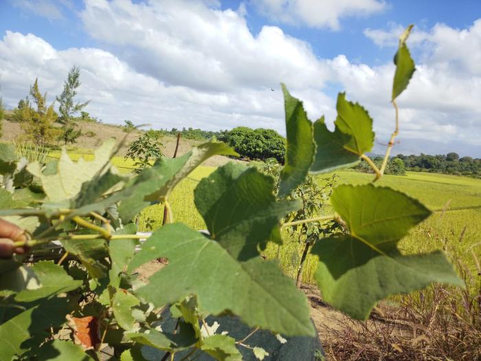 [Thumbnail for WhatsApp-Image-2026-04-28-at-09.29.49.jpeg]