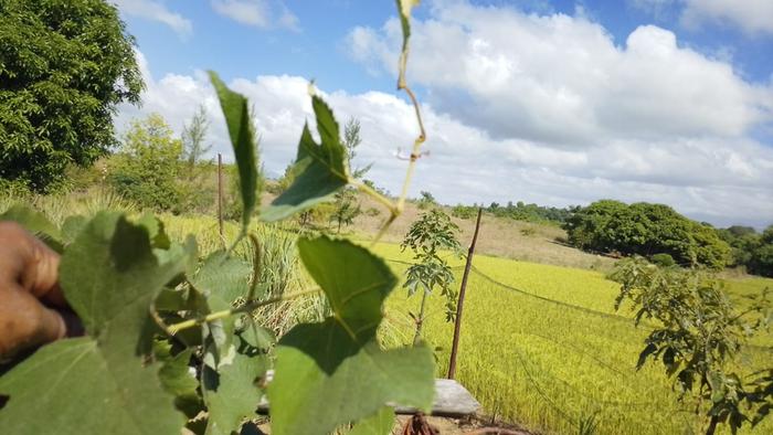 [Thumbnail for WhatsApp-Image-2026-04-28-at-09.30.22.jpeg]