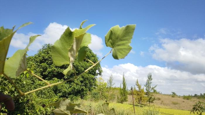 [Thumbnail for WhatsApp-Image-2026-04-28-at-09.30.47.jpeg]