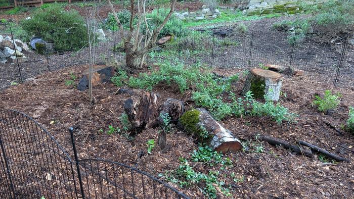 Same bed Dec 2025. Added fence to slow down rabbits