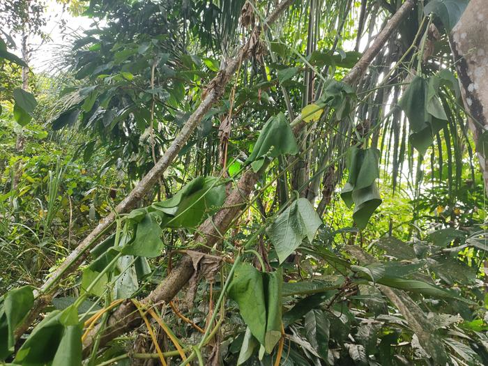 [Thumbnail for IMG_20260331_095644.jpg]