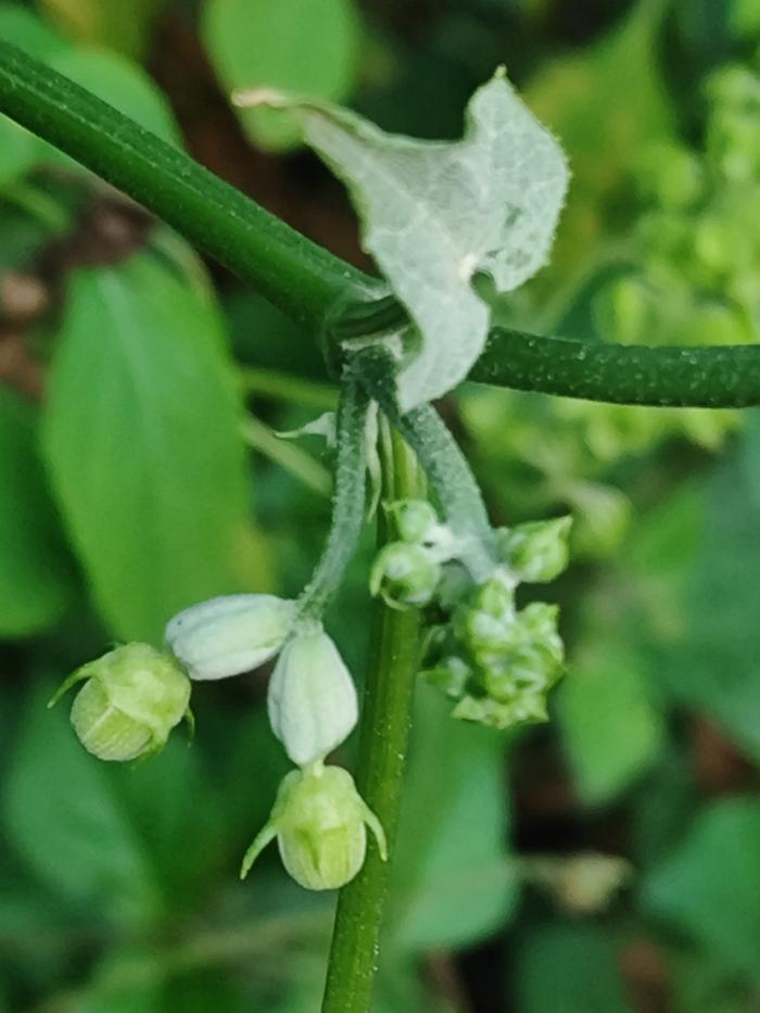 [Thumbnail for IMG_20260330_172113.jpg]